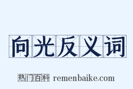 向光反义词是什么意思的图片
